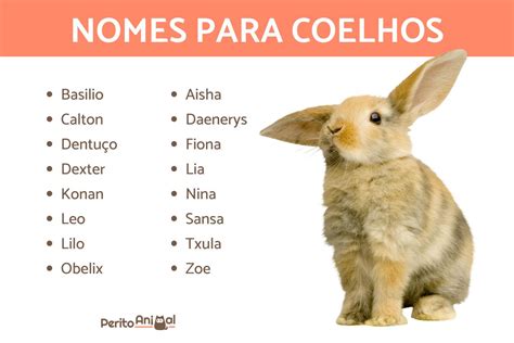nomes para coelhos